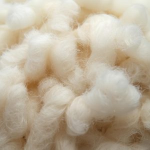 Scoured wool tufts close up